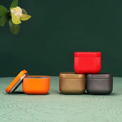Compact Colorful Metal Storage Container - Fesara