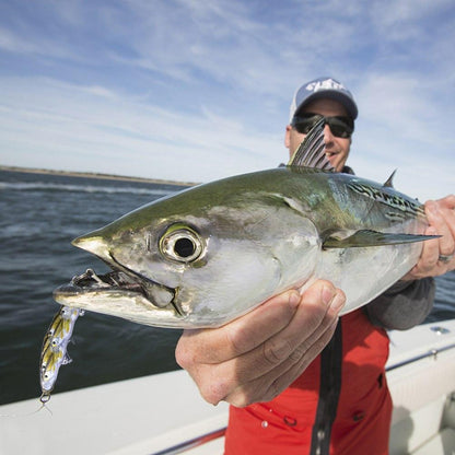 Double Fish Swim Bait Lure