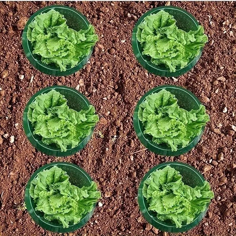 Garden Pest Control Plant Covers - 20 Pack Eco Friendly