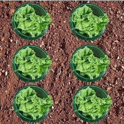 Garden Pest Control Plant Covers - 20 Pack Eco Friendly