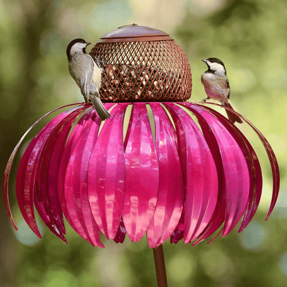 Colorful Bird Feeder with Free Flower Seeds