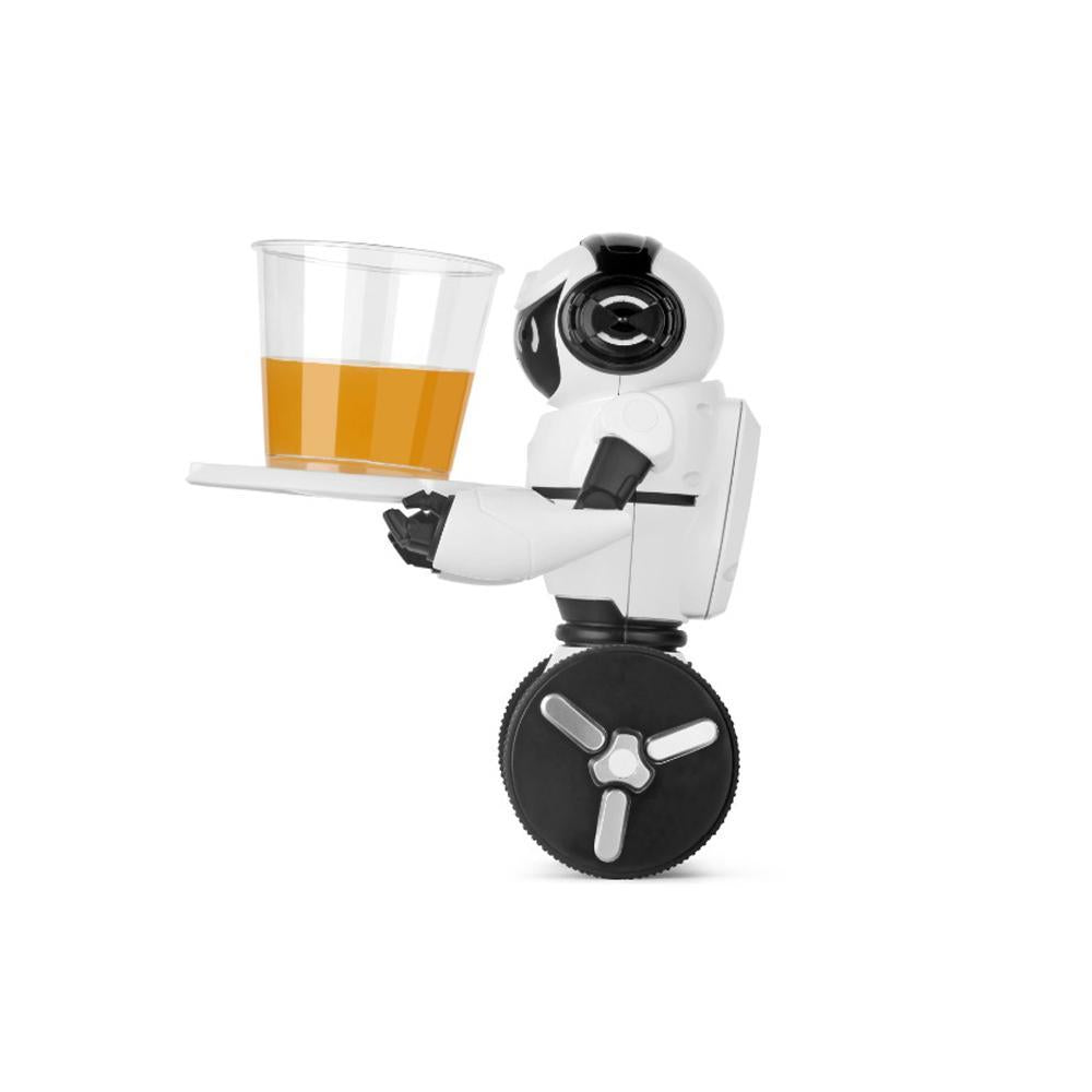 Fun Interactive Balance Robot Toy