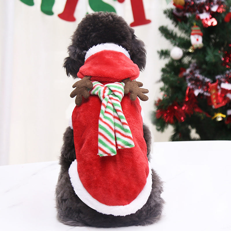 Fun Christmas Pet Outfits