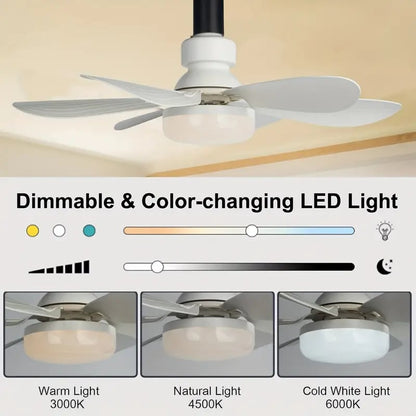Compact 2-in-1 Ceiling Fan and Light Kit