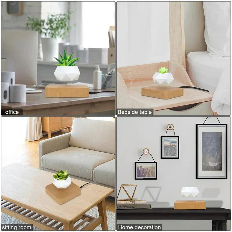 Unique Floating Plant Decor