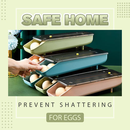 Egg Storage Container Holder