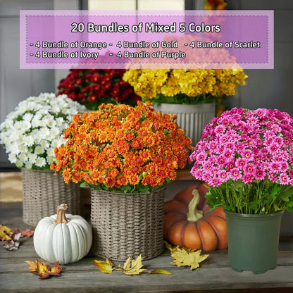 Vibrant Fall Garden Decoration