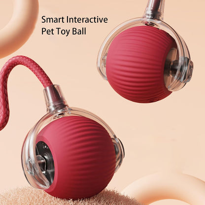 Fun Interactive Pet Toy