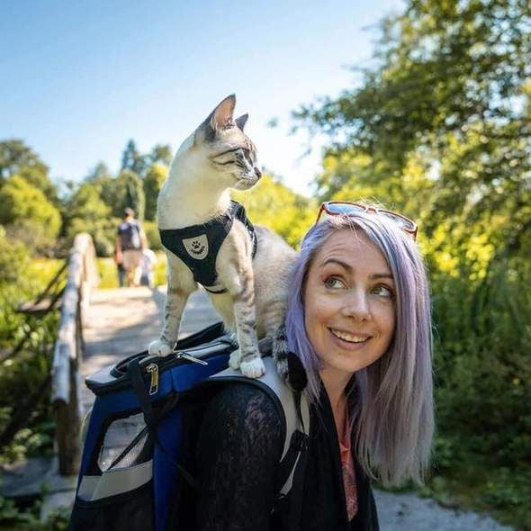 Reflective Cat Harness and Leash Set with Adjustable Straps for Safe Night Adventures – Comfortable Fit for Cats and Kittens-3