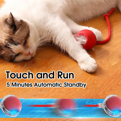 Fun Interactive Pet Toy