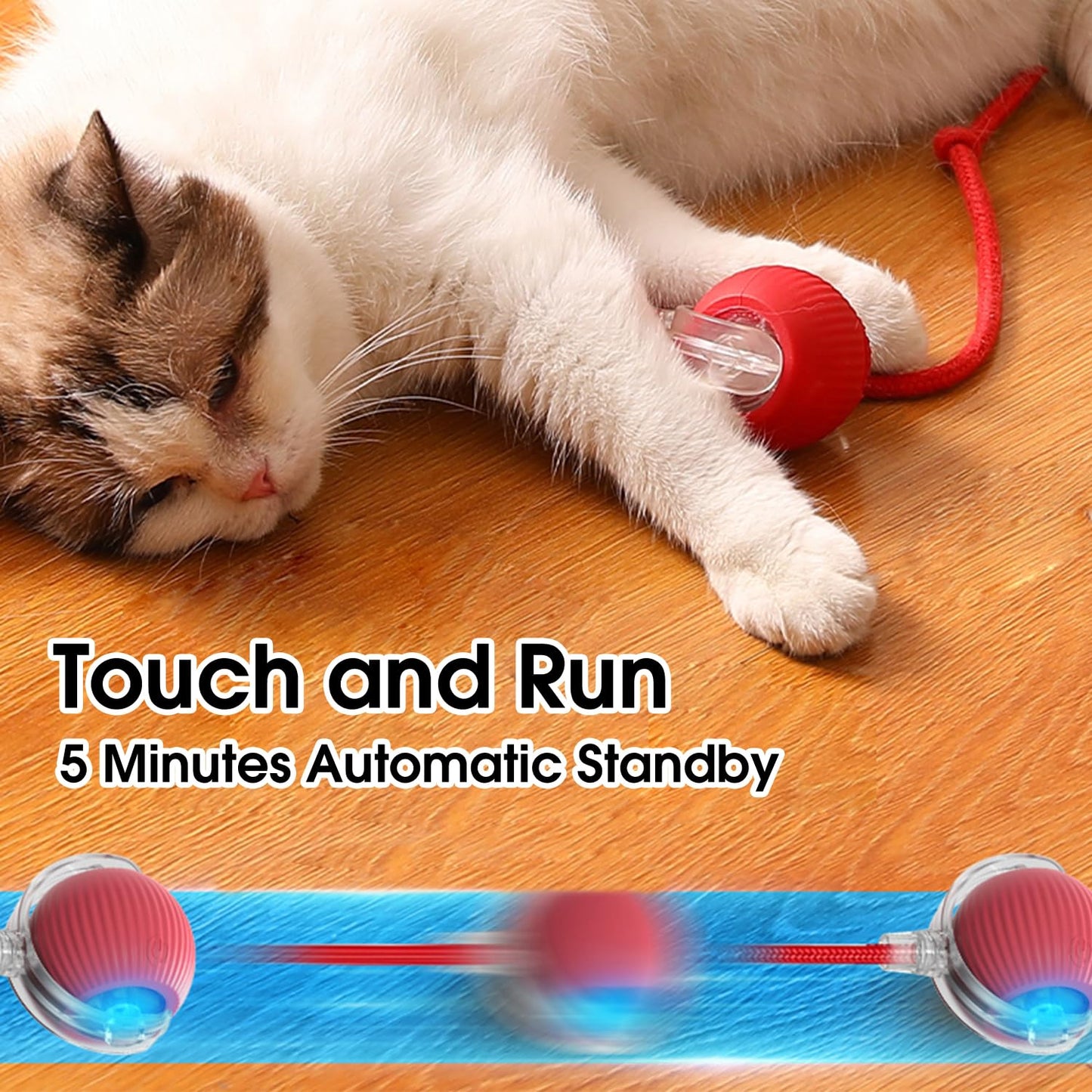 Fun Interactive Pet Ball Toys