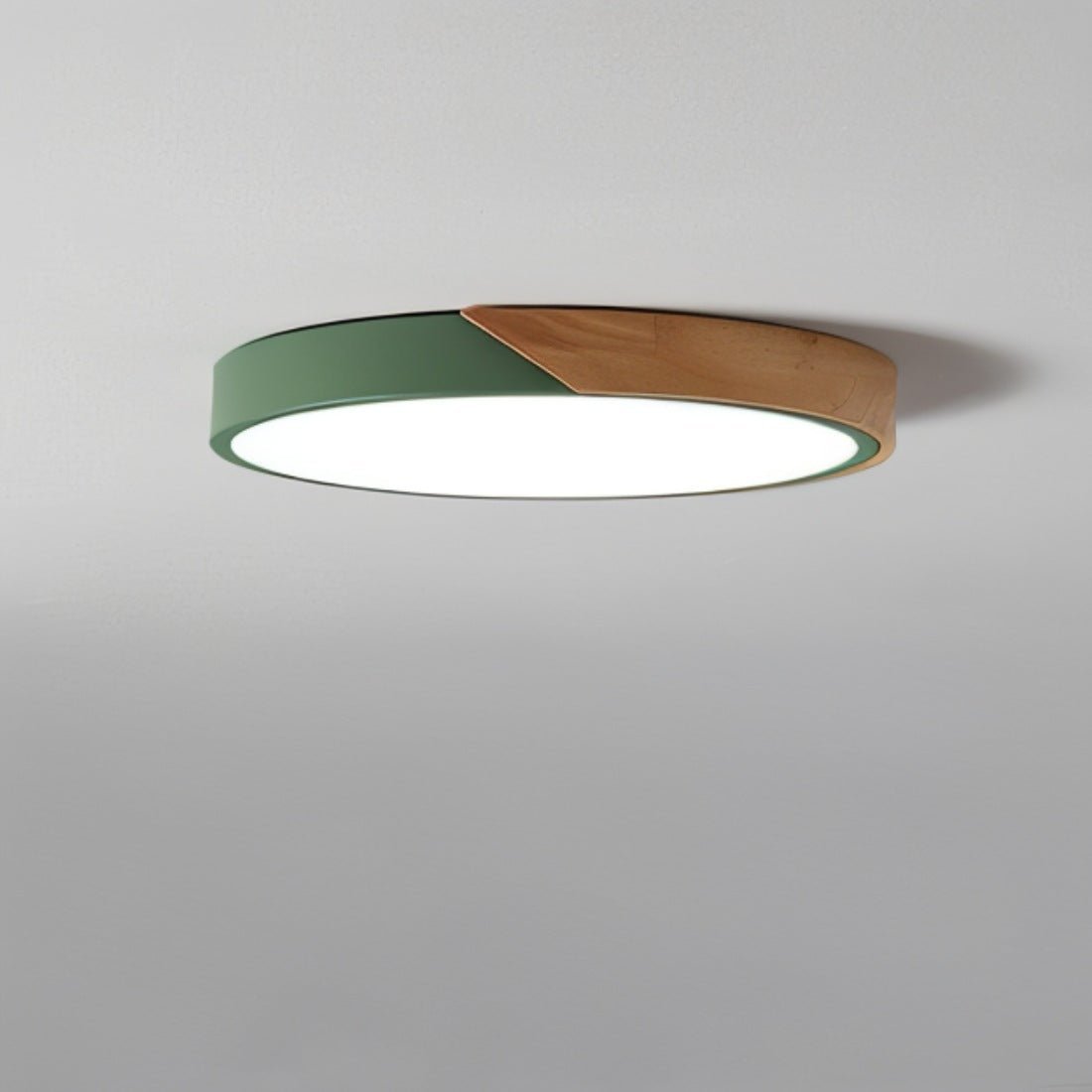Modern Dimmable LED Ceiling Fixture