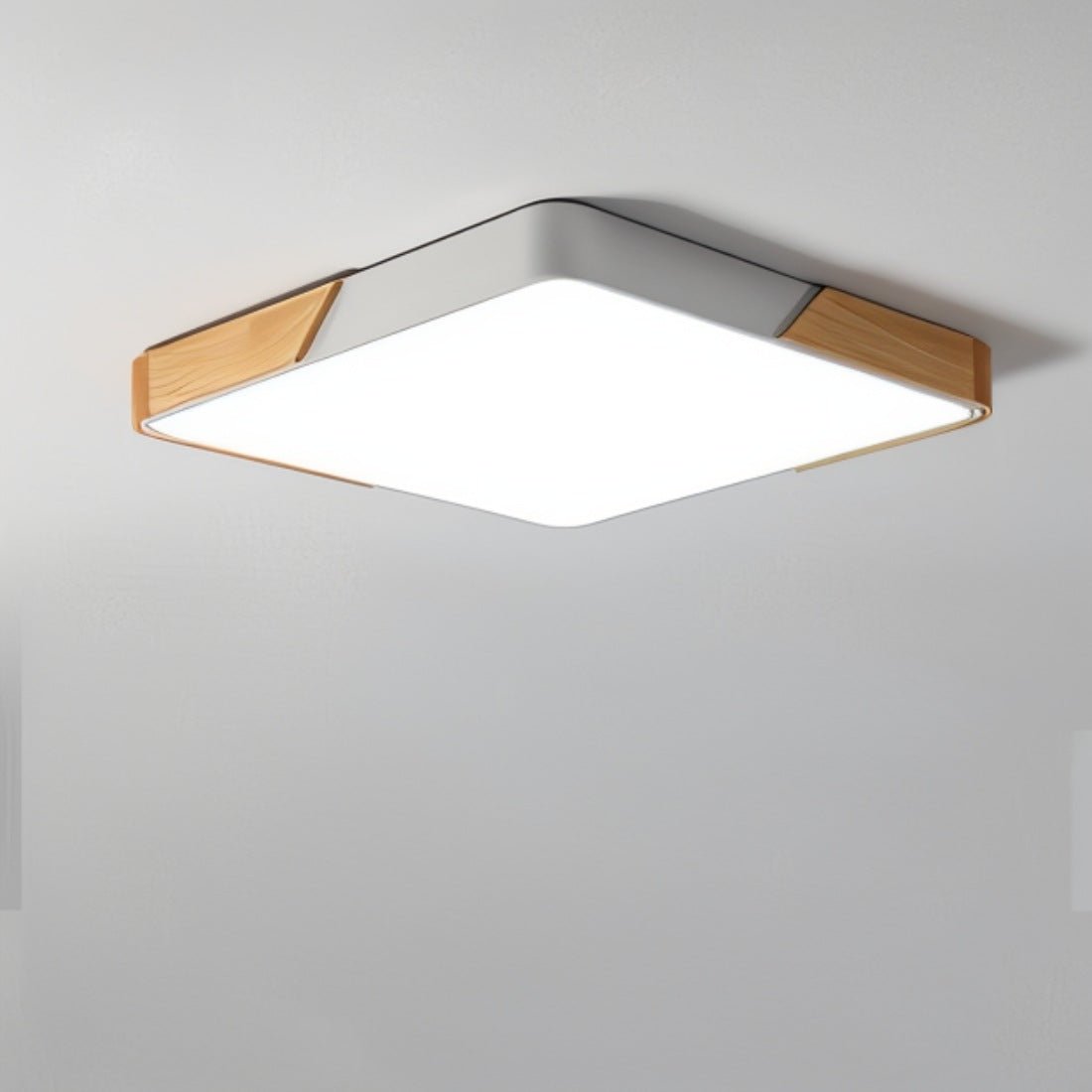 Modern Dimmable LED Ceiling Fixture