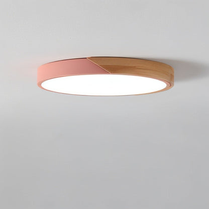 Modern Dimmable LED Ceiling Fixture
