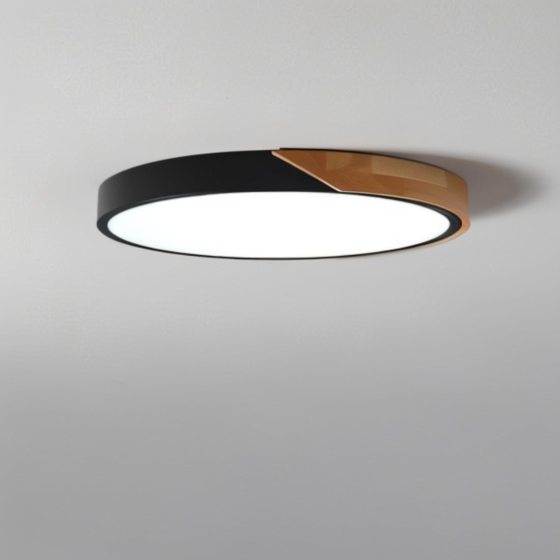 Modern Dimmable LED Ceiling Fixture