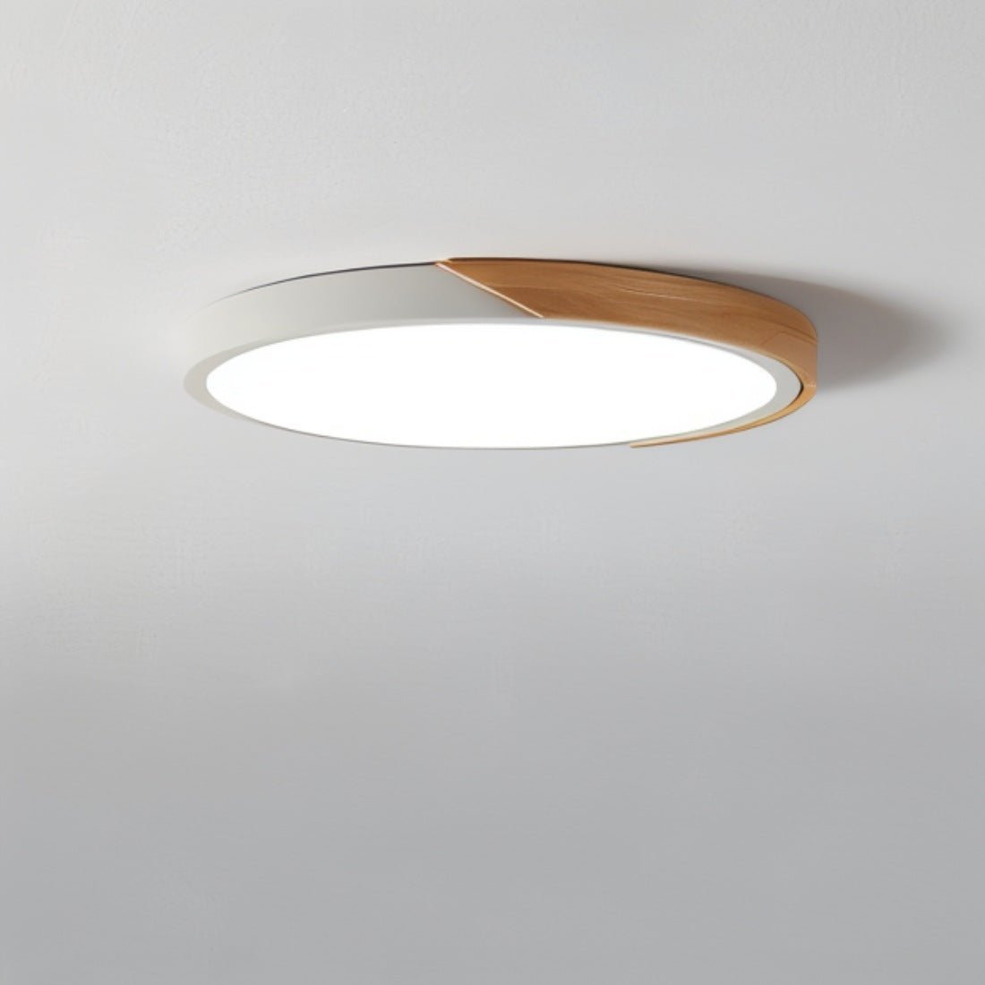 Modern Dimmable LED Ceiling Fixture