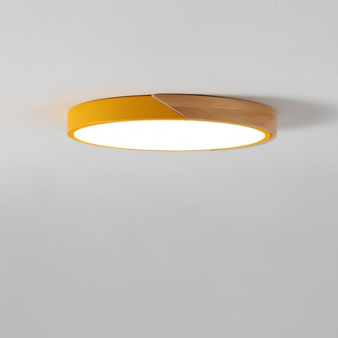 Modern Dimmable LED Ceiling Fixture