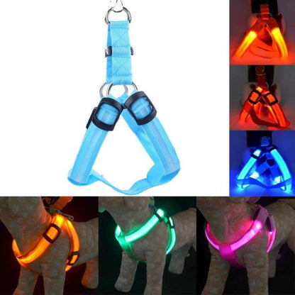 Durable Pet Collar for Safe Dog Walking - Fesara