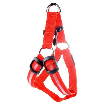 Durable Pet Collar for Safe Dog Walking