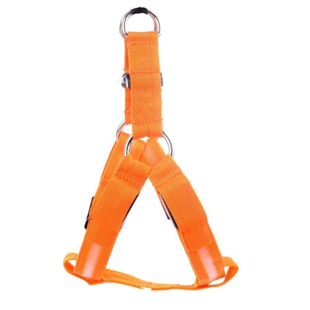 Durable Pet Collar for Safe Dog Walking