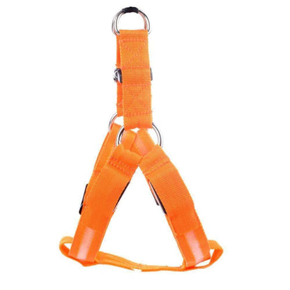Durable Pet Collar for Safe Dog Walking