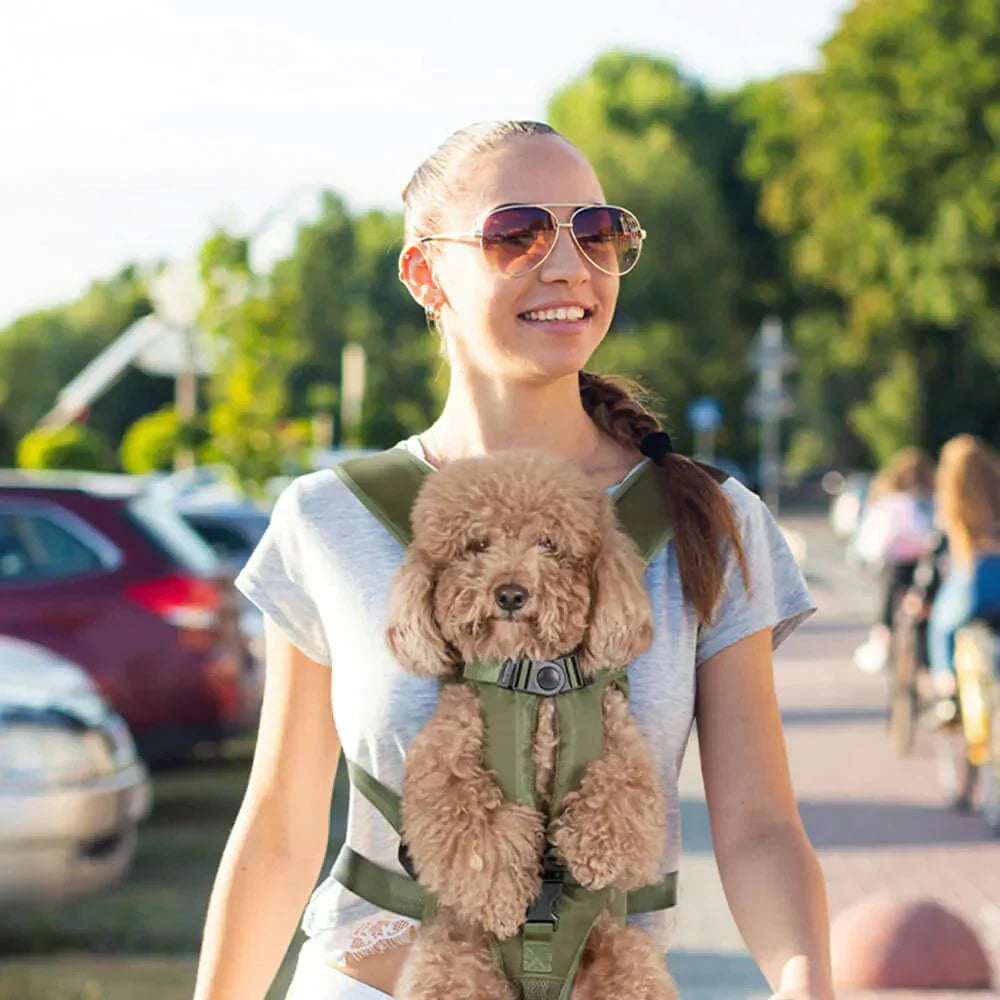 Petcarry - Hands-Free Dog Carrier Backpack for Comfortable Travel & Easy Mobility-3