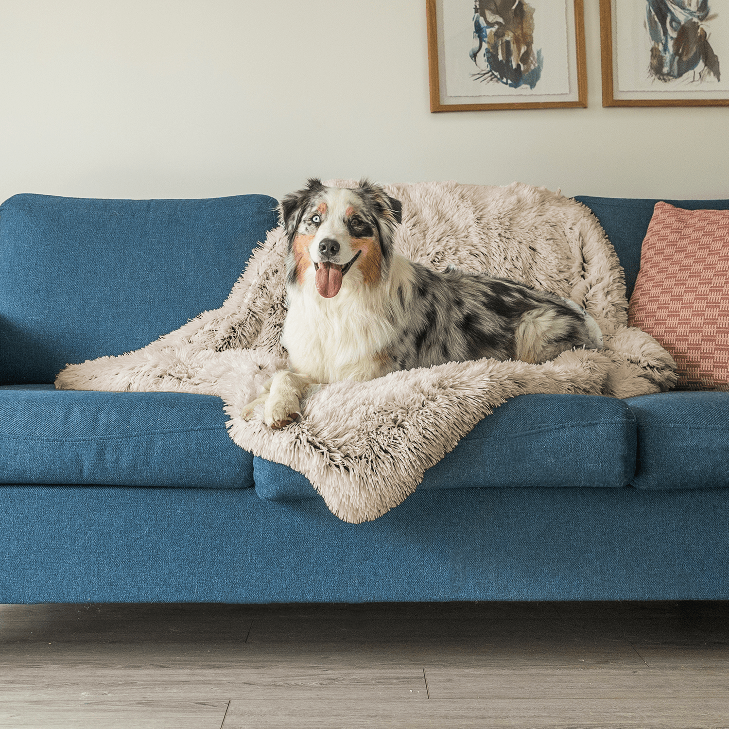 Variant image for Luxury Calming Dog Blanket – Soft, Animal-Friendly Fabric for Improved Sleep and Comfort, Machine Washable, Multiple Sizes Available-2