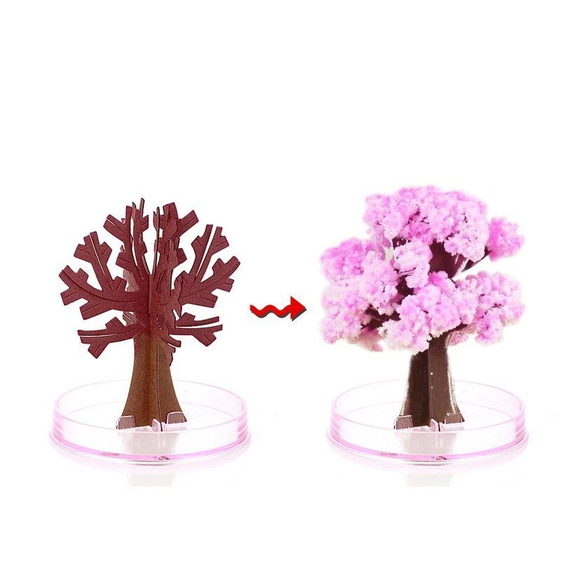 Beautiful Pink Cherry Blossom Tree - Fesara