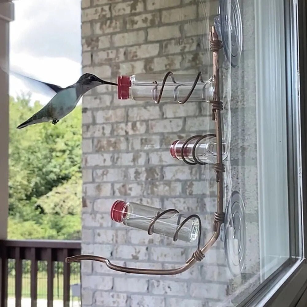 Bird Watching Window Feeder - Fesara