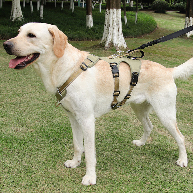 SafeWalk Adjustable Dog Vest – No Pull Reflective Harness - Fesara