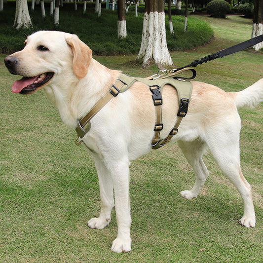 SafeWalk Adjustable Dog Vest – No Pull Reflective Harness - Fesara