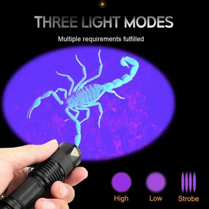 Powerful UV Detection Flashlight for Pet Stain Removal