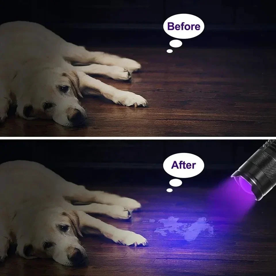 Powerful UV Detection Flashlight for Pet Stain Removal