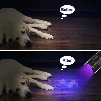 Powerful UV Detection Flashlight for Pet Stain Removal