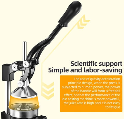 Easy to Use Juicer for More Juice Extraction