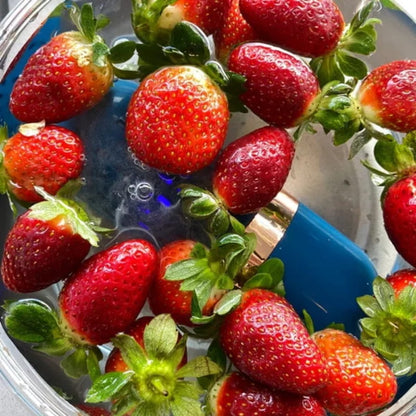 Fresh Food Washer - Removes Bacteria and Pesticides Instantly
