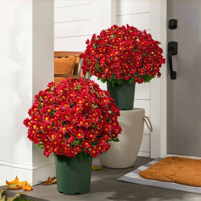 Vibrant Fall Garden Decoration