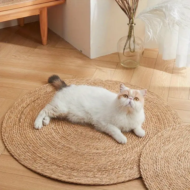 Fesara | KrazeLuxe Matte - Durable Scratch Pad for Cats