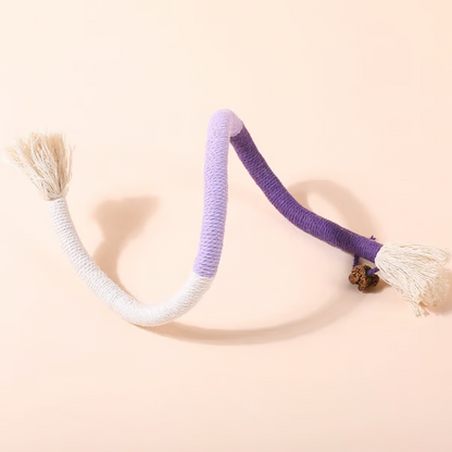 Fun Interactive Cat Toy