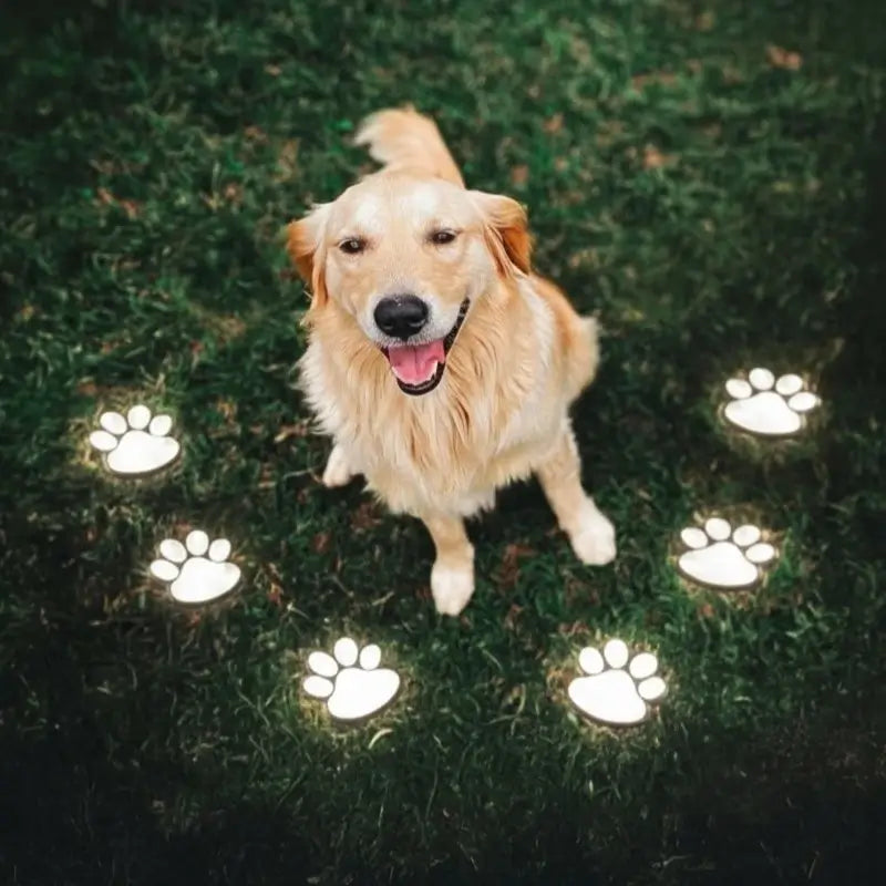 Outdoor Solar Powered Animal Paw Garden Lights