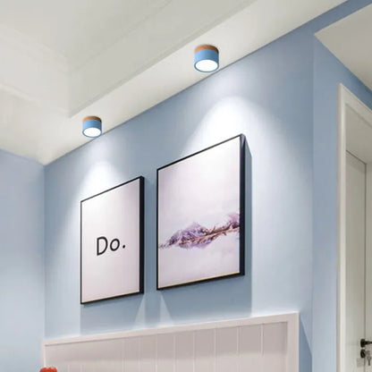 Simple Modern LED Ceiling Lamp