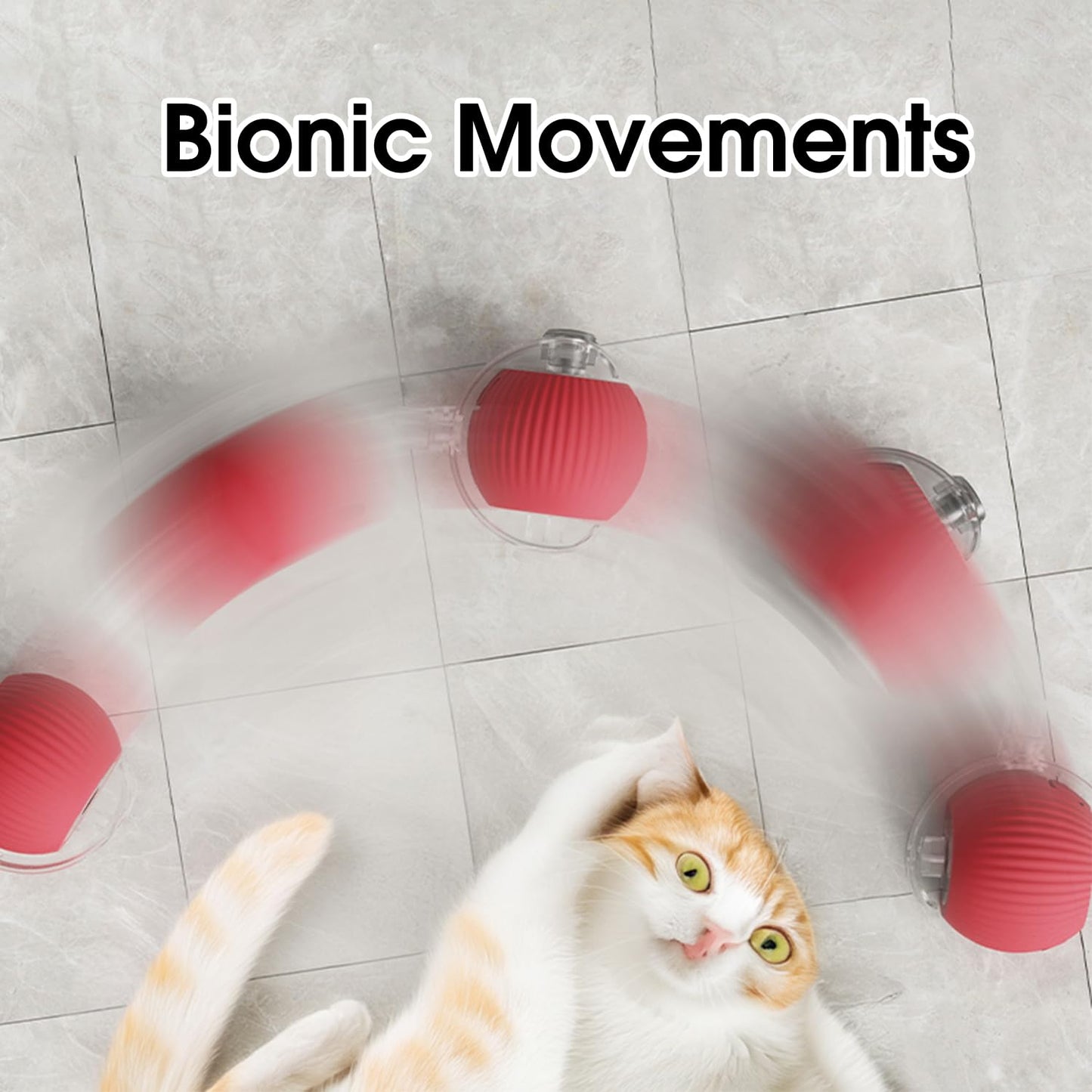 Fun Interactive Pet Toy