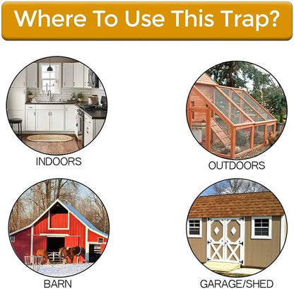 Effective Rodent Repellent for Home Protection
