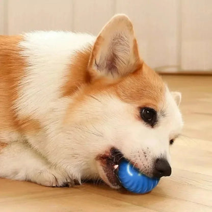 Fun Interactive Dog Ball Launcher