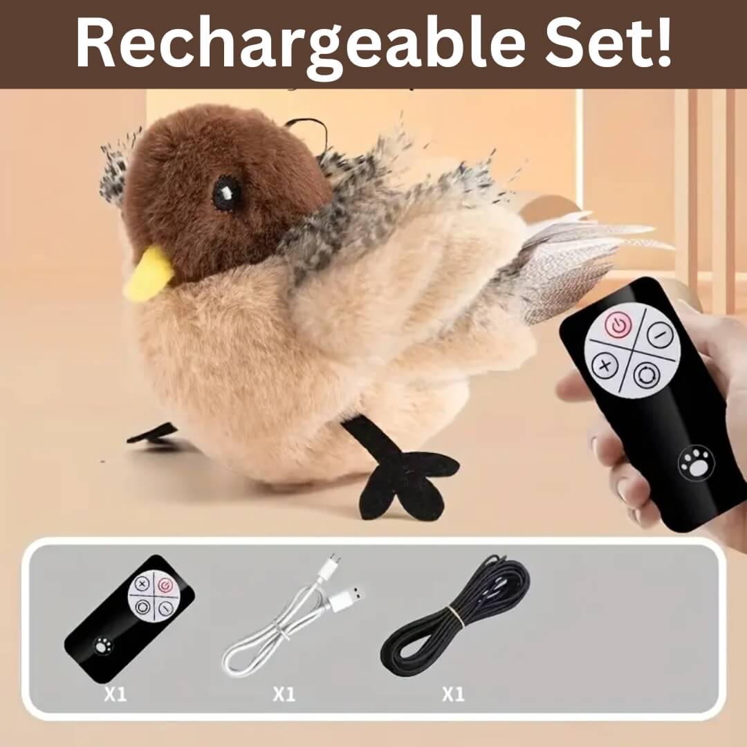Fun Interactive Cat Toy