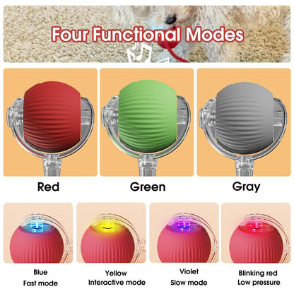 Fun Interactive Pet Ball Toys