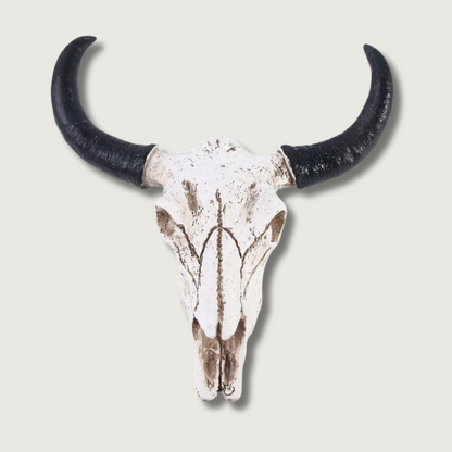 Western Decor Longhorn Wall Skull - Fesara