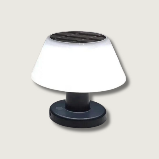 Eco Friendly LED Table Lamp - Fesara