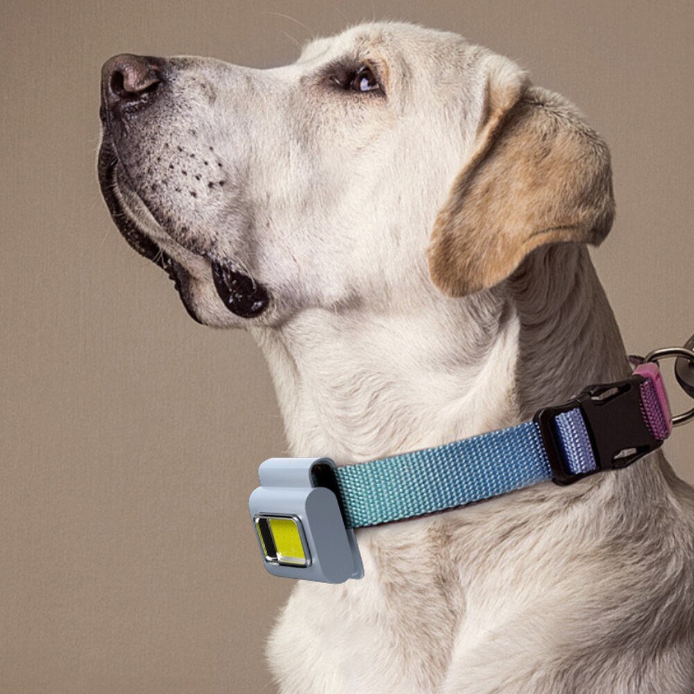 Compact Handy LED Clip On Light