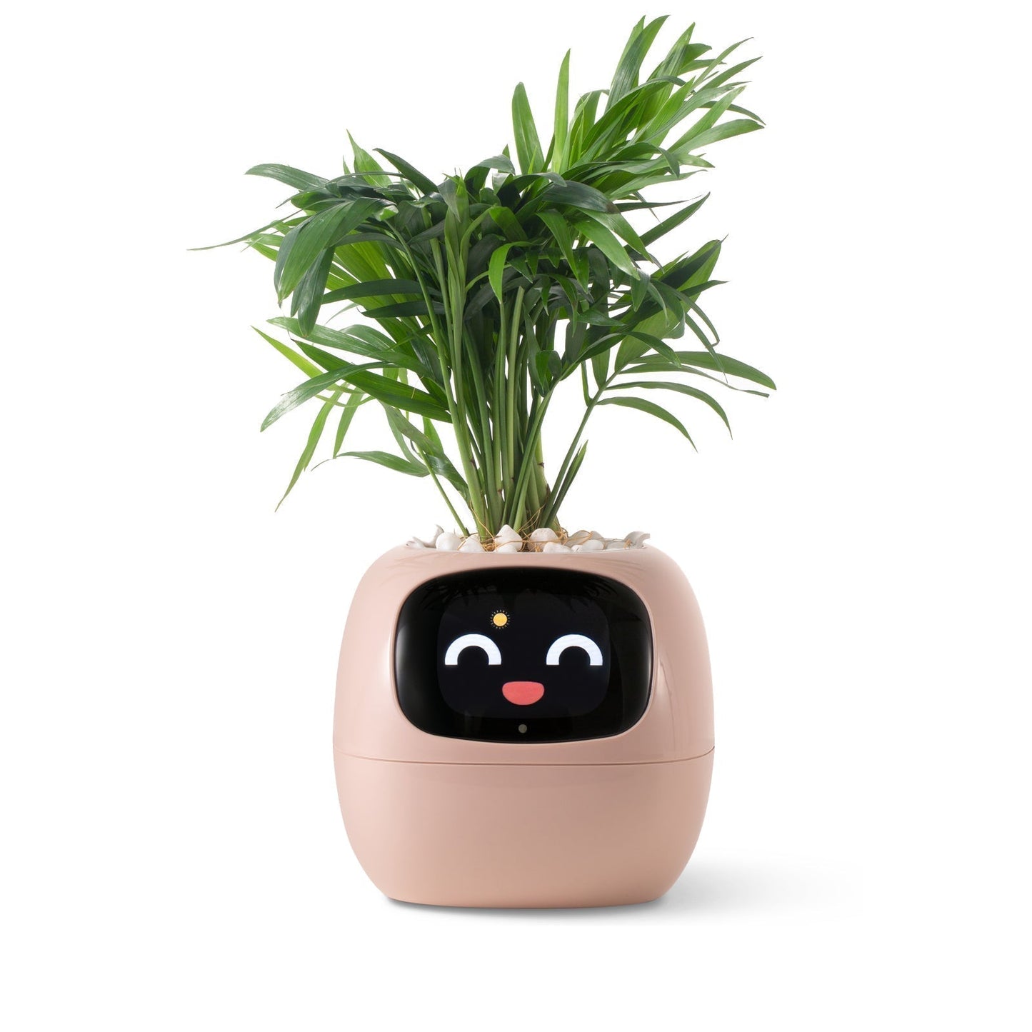 Smart Watering Indoor Planter Pot